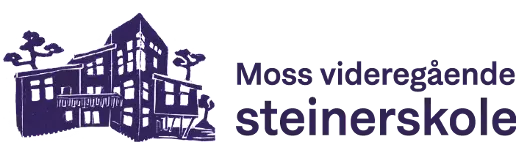 steinervgs